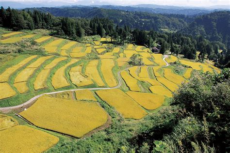 小千谷 掲示板|小千谷市, 新潟県